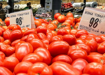 Cuota al jitomate no descarrilará la industria: FIRA