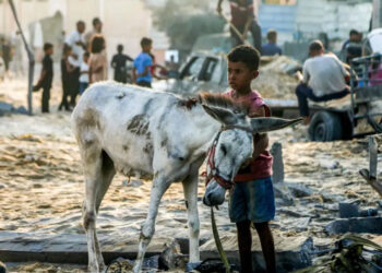 Israel tiene «mucha responsabilidad» por la crisis alimentaria en Gaza: EU