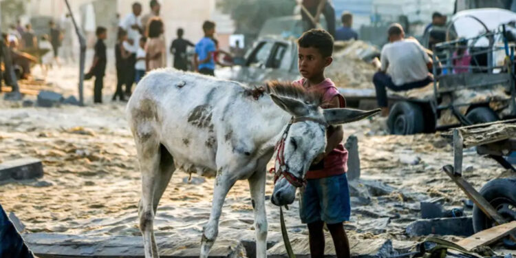 Israel tiene «mucha responsabilidad» por la crisis alimentaria en Gaza: EU