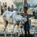 Israel tiene «mucha responsabilidad» por la crisis alimentaria en Gaza: EU