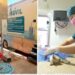 Registra administración de Toño Astiazarán casi 10 mil esterilizaciones de animales en la primera mitad del año