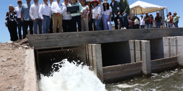 Con una inversión sin precedentes, la empresa SOLES y 4 ejidos de la UGOCP reactivan el Parque Acuícola El Siari.