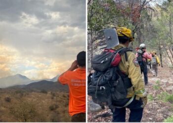 Avanzan en control de incendio forestal en la Sierra Los Ajos