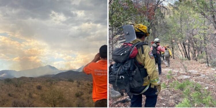 Avanzan en control de incendio forestal en la Sierra Los Ajos