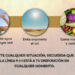 Llaman a tomar precauciones ante altas temperaturas