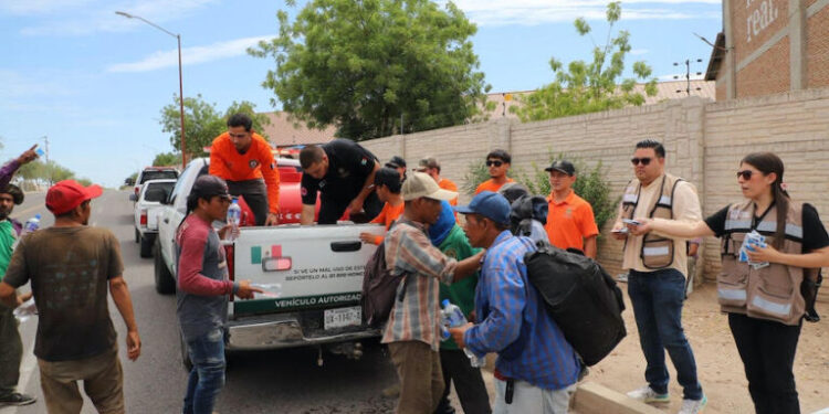 Gobierno de Sonora refuerza acciones preventivas con entrega de agua y suero
