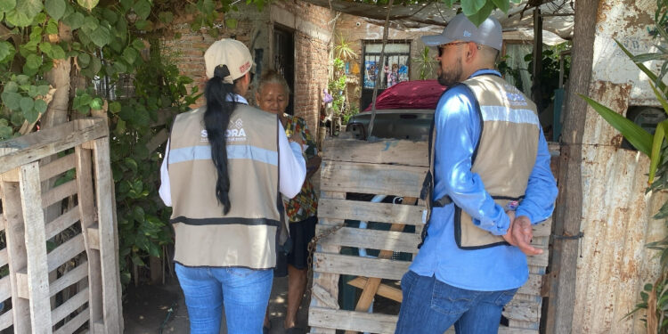 Gobierno de Sonora intensifica acciones territoriales contra la rickettsiosis