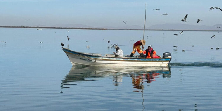 Gobierno de Sonora celebra premios nacionales a proyectos pesqueros sustentables