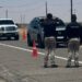Protección Civil busca apoyar a vacacionistas en Puerto Peñasco