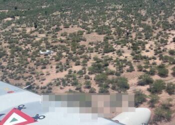 Marina en coordinación con autoridades federales y locales, llevó a cabo el aseguramiento de material ilícito en el municipio de Cajeme, Sonora