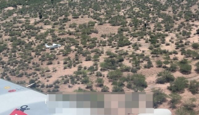 Marina en coordinación con autoridades federales y locales, llevó a cabo el aseguramiento de material ilícito en el municipio de Cajeme, Sonora
