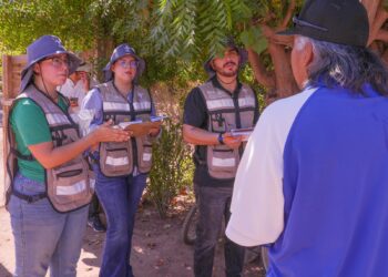 Gobierno de Sonora y municipios refuerzan acciones contra el dengue