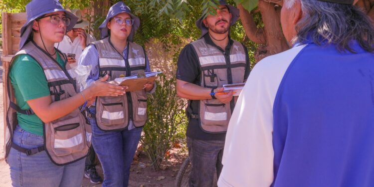 Gobierno de Sonora y municipios refuerzan acciones contra el dengue