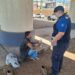 Auxilia Ayuntamiento de Hermosillo a personas debido al calor extremo