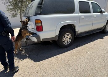 Más de 50 mil dosis de narcótico asegurado en operativos del Gobierno de Sonora en municipios.