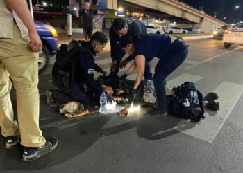 Registra Gobierno de Sonora más de 54 mil envoltorios de narcótico asegurados en operativo de la Policía Estatal