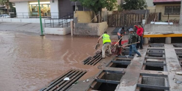 Aplica Gobierno de la Ciudad acciones inmediatas de limpieza