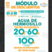 Jornada de Descacharre del 04 al 08 de agosto