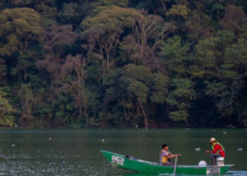 Asesinan en calles de Reynosa a jefe de la FGR en Tamaulipas