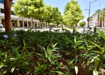 Reitera Gobierno de Hermosillo disposición al diálogo constructivo en obra del bulevar Hidalgo