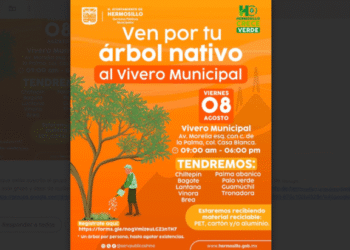 Tendrá Ayuntamiento de Hermosillo jornada de entrega de árboles nativos este viernes