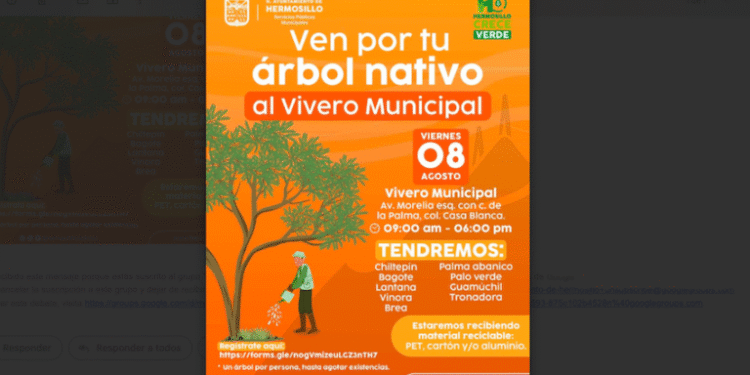 Tendrá Ayuntamiento de Hermosillo jornada de entrega de árboles nativos este viernes