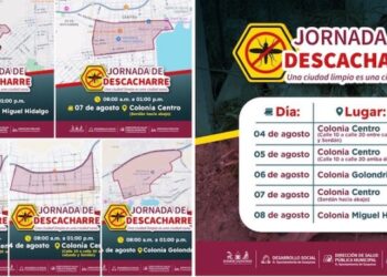 Jornada de Descacharre del 04 al 08 de agosto