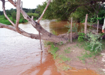 Se trabaja en plan integral de salud para afectados por contaminación de Río Sonora: CSP