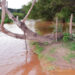 Se trabaja en plan integral de salud para afectados por contaminación de Río Sonora: CSP