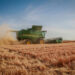 Impulsa Gobierno de Sonora apoyo emergente para productores de trigo cristalino