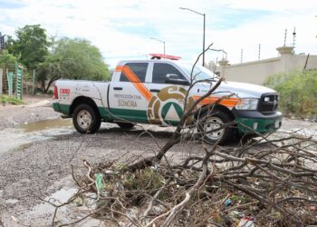 Atiende Gobierno de Sonora afectaciones por lluvias de las últimas horas