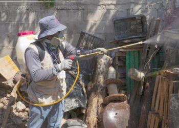 Intensifican acciones de control del dengue en el estado