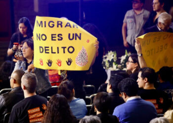 Descubren a dos leones y dos tigres en vivienda de colonia Matilde en Pachuca