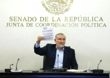 Descubren a dos leones y dos tigres en vivienda de colonia Matilde en Pachuca