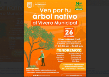 Entregará Gobierno de Hermosillo árboles nativos de manera gratuita