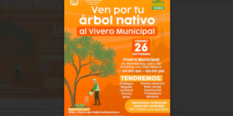 Entregará Gobierno de Hermosillo árboles nativos de manera gratuita