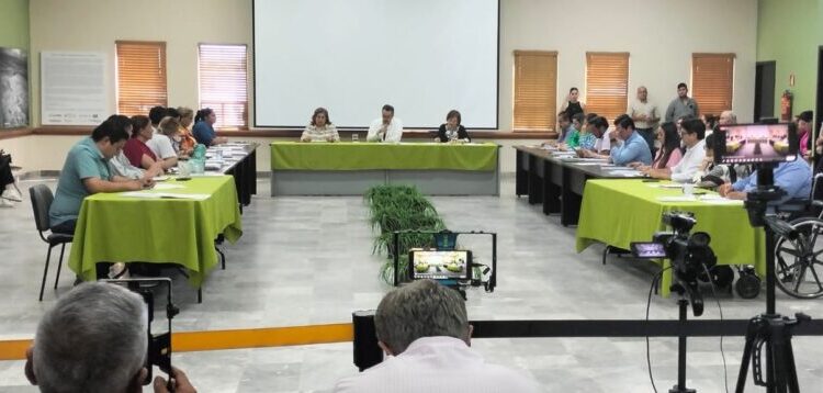 APRUEBA CABILDO INSTALACIÓN DEL COMITÉ MUNICIPAL DE SALUD MENTAL Y ADICCIONES