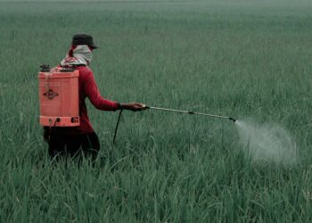 Gobierno de México prohíbe 35 plaguicidas peligrosos