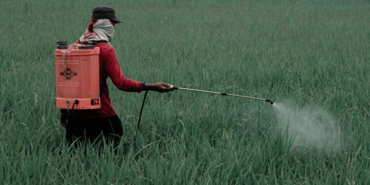 Gobierno de México prohíbe 35 plaguicidas peligrosos