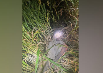 EN HERMOSILLO ENCUENTRAN CUERPO SIN VIDA.