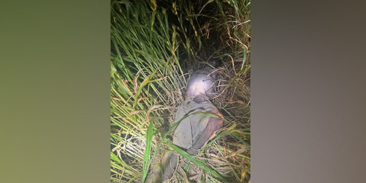 EN HERMOSILLO ENCUENTRAN CUERPO SIN VIDA.
