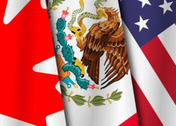 Gobierno publica en el DOF proceso para consultas de cara a revisión del T-MEC