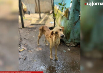 Maduro se ofrece a dialogar directamente con enviado de Trump