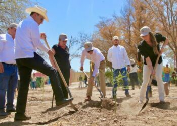 Gobernador Durazo avanza en acciones de rescate del Bosque Urbano La Sauceda con remodelación y reforestación