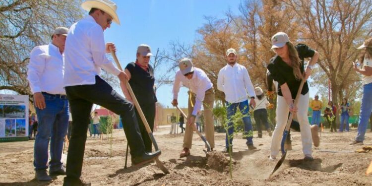 Gobernador Durazo avanza en acciones de rescate del Bosque Urbano La Sauceda con remodelación y reforestación