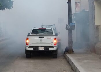 Campaña intensiva de fumigación