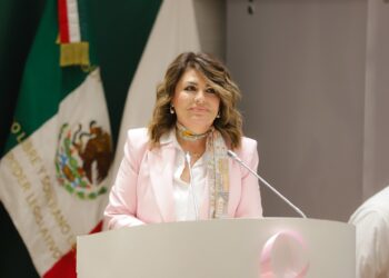 Hipoteca Inversa para la seguridad económica de las personas adultas mayores: diputada Alejandra López Noriega