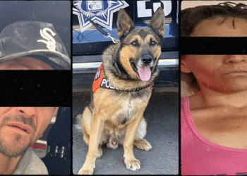 Incauta Policía Estatal narcótico en acciones contra el narcomenudeo en Hermosillo