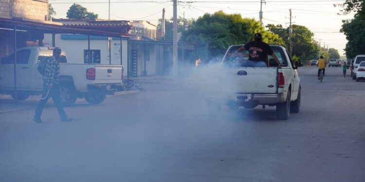 Intensifican campaña de fumigación contra el dengue