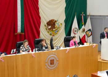 Busca diputado René García Rojo reconocer validez legal de licencias de conducir digitales